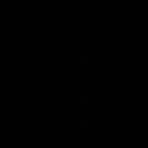 Meet your Posher, Kendall